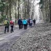 03 bei Waldhausen - Schättere-Trasse